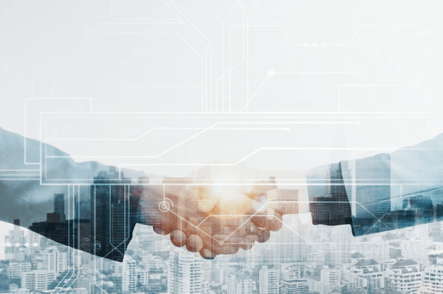 Directorship Services in UAE: Key Insights | Hallmark Auditors